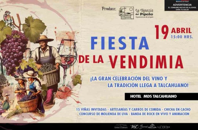 Vitivinicultores de Ñuble y Biobío preparan la Fiesta de la Vendimia