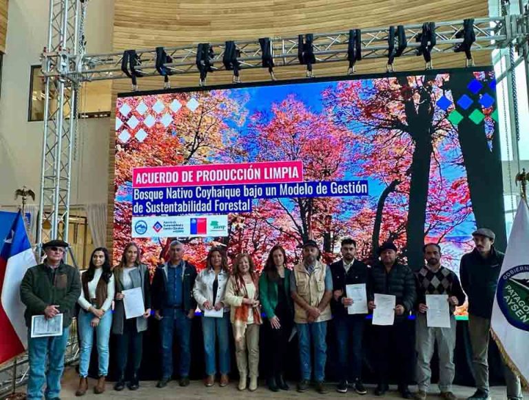 Empresas propietarias de bosque nativo y servicios públicos buscan fortalecer la competitividad del sector
