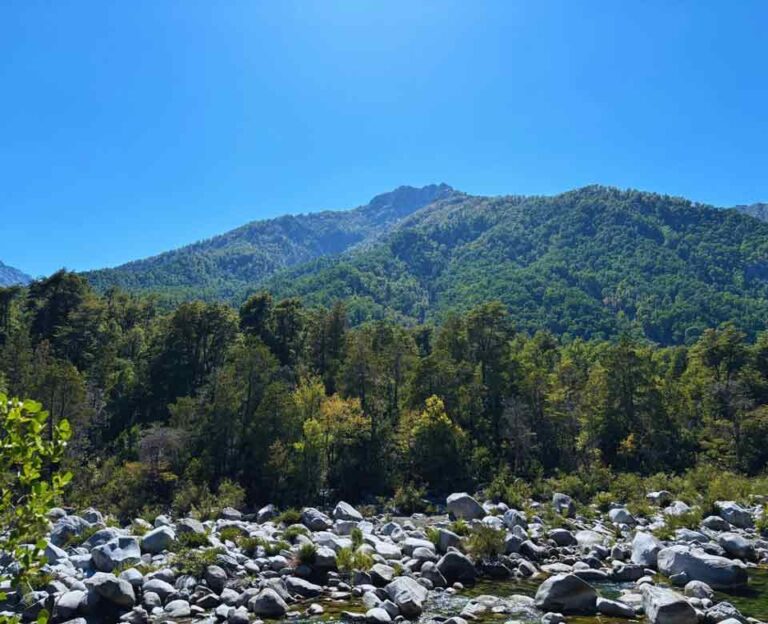 Alto Las Loicas y Valle Los Robles se unen a los terrenos ecológicos protegidos que abarcan hasta un 22% en Chile