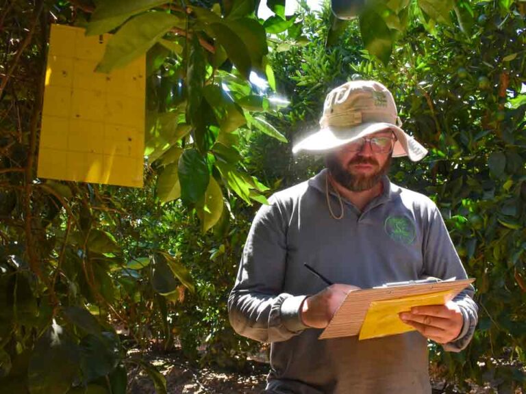 Expertos nacionales presentan alternativas sostenibles para el manejo integrado de insectos