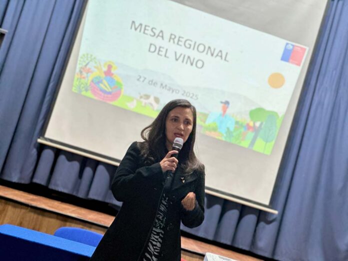 Mesa del vino abordó medidas para apoyar trabajo de viñateros en la región del Biobío
