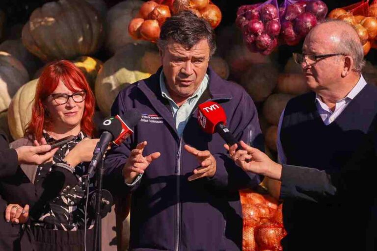 Ministro Valenzuela destaca baja de hasta un 50% en el precio de los cítricos durante estas semanas