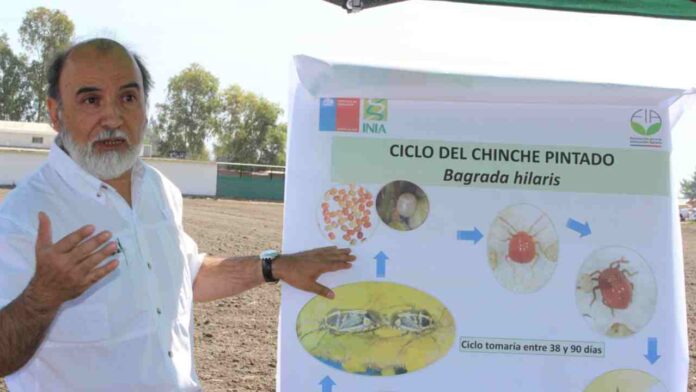 Premian a Ernesto Cisternas por 40 años de legado en protección vegetal 