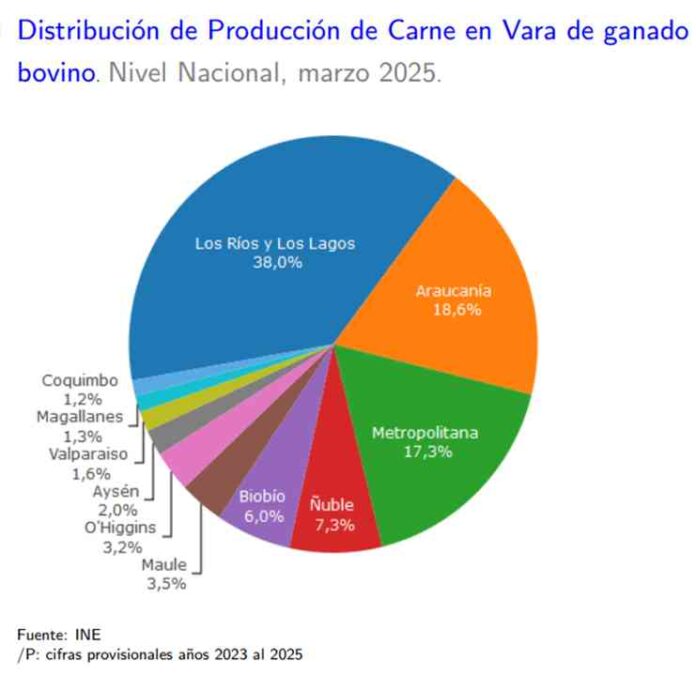Producción de carne en vara de ganado bovino de la Región del Biobío presentó una disminución interanual de 4,6% en marzo de 2025