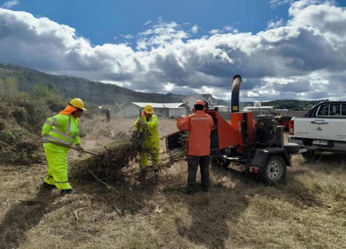 Programa de Emergencia de Empleo genera trabajo con enfoque ambiental en 142 comunas del país