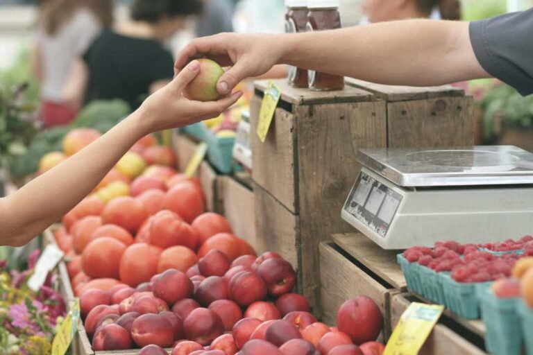 Buena noticia para los feriantes: nueva ley les permitirá formalizarse con menos impuestos y sin trámites engorrosos
