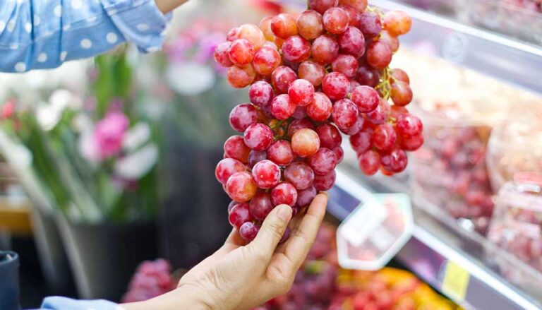 Grapetech 2025:  Un espacio estratégico para proyectar el futuro de la industria de la uva