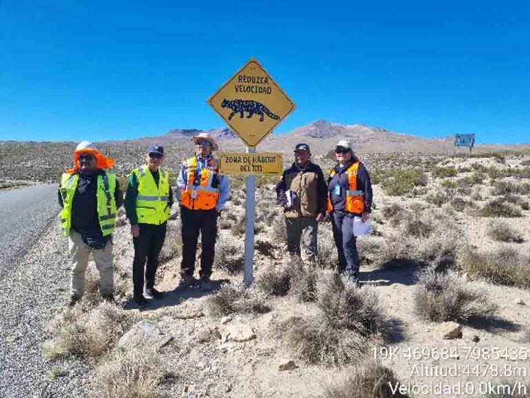 Instalan señalética para proteger a la fauna nativa de Arica y Parinacota