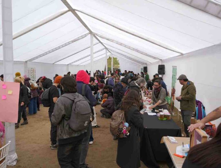 Masiva convocatoria al primer Festival Fungi de Talca
