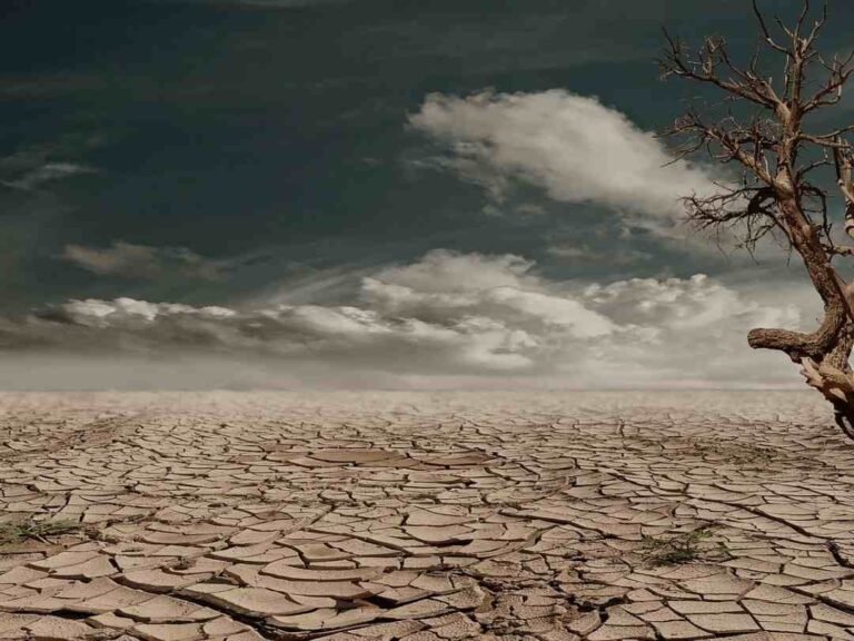 Menos impacto, más futuro: El cuidado del planeta empieza en casa