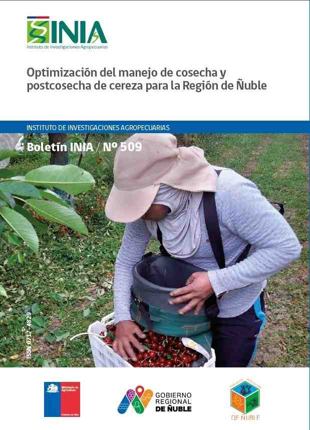 Nueva publicación de INIA orienta a productores para mejorar la cosecha y postcosecha de cerezas 