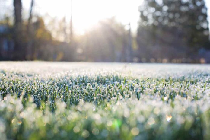 Proyecciones de invierno 2025 en Chile: lluvias intensas, heladas y desafíos para el agro