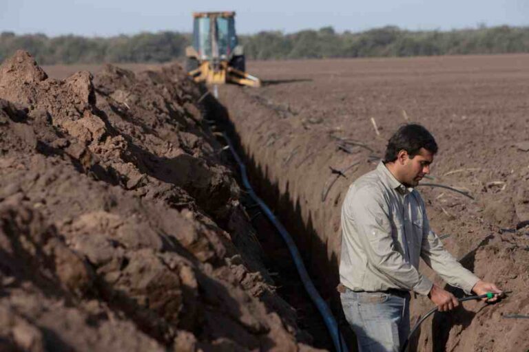 Rivulis lanza recurso educativo para ayudar a los agricultores a elegir el sistema de riego adecuado para cultivos en hileras