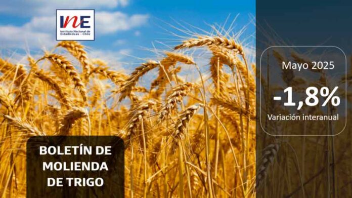 INE Biobío publica cifras de molienda de trigo correspondiente a mayo de 2025