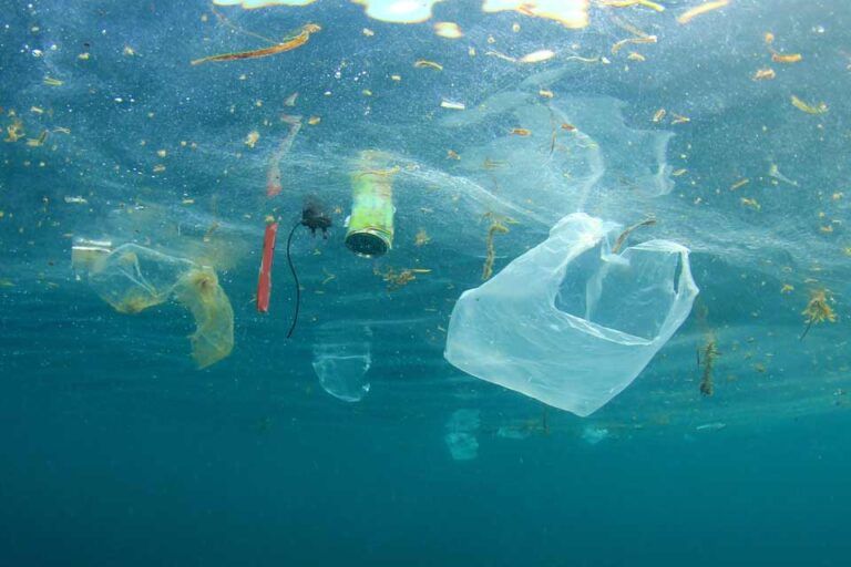 5 billones de bolsas plásticas al año: la amenaza invisible que podría contaminar el planeta por 500 años  