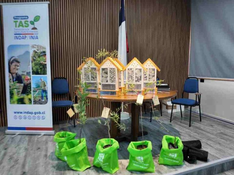 Agricultores de la Región Metropolitana cierran etapa clave hacia una agricultura más sostenible