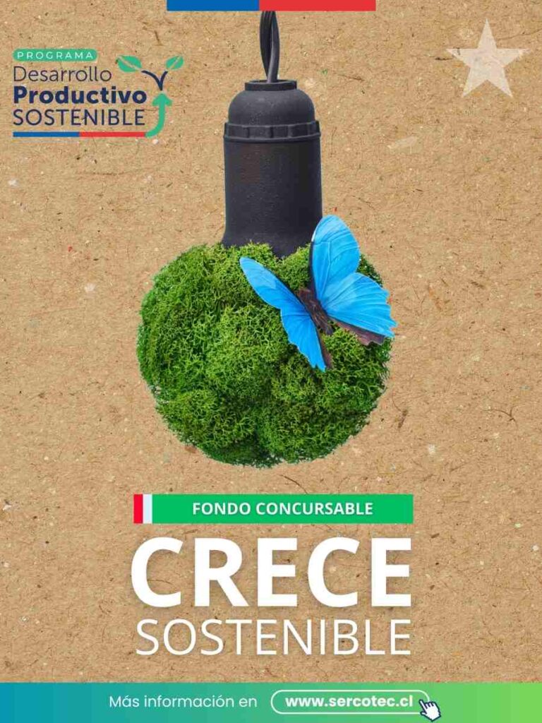 Crece Sostenible: primer programa de sostenibilidad para microempresas y cooperativas de Sercotec