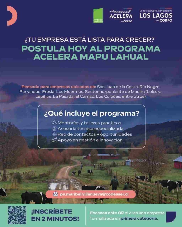 Empresas multisectoriales ya pueden postular al programa Acelera Mapu Lahual de Corfo Los Lagos