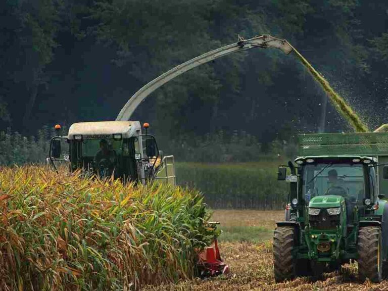 Esencial para la producción agrícola: Cómo lograr una buena mantención del motor de los tractores