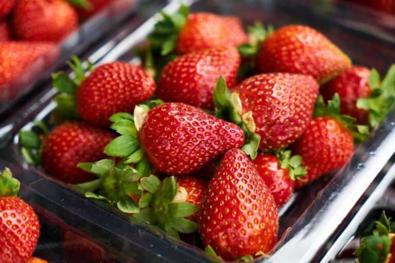 La cosecha de frutillas de Alemania espera la peor cosecha en 30 años