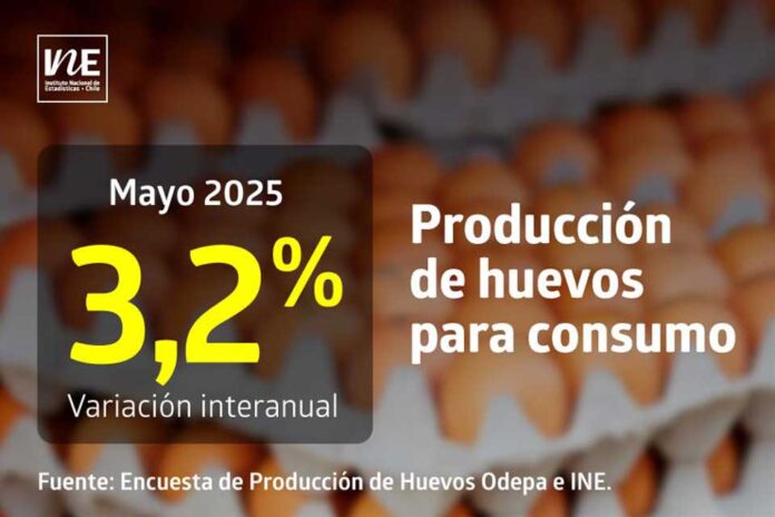 La producción de huevos de consumo presentó un aumento interanual de 3,2% en mayo de 2025