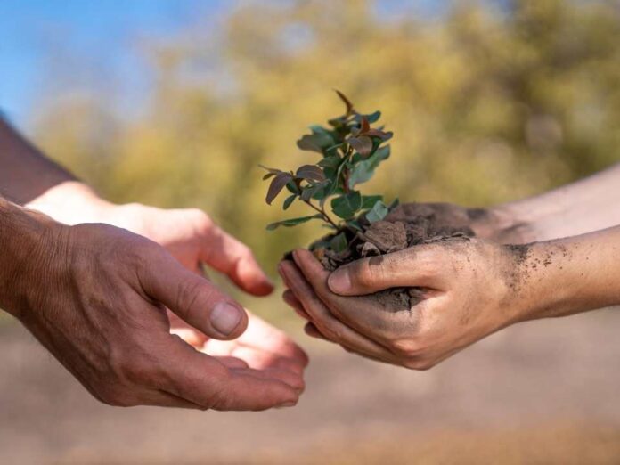 Rescate de la biodiversidad nativa 