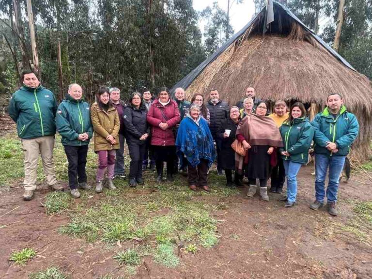 SAG realizó Trawün con guardadora/es de  semillas de papas ancestrales de la provincia de Arauco