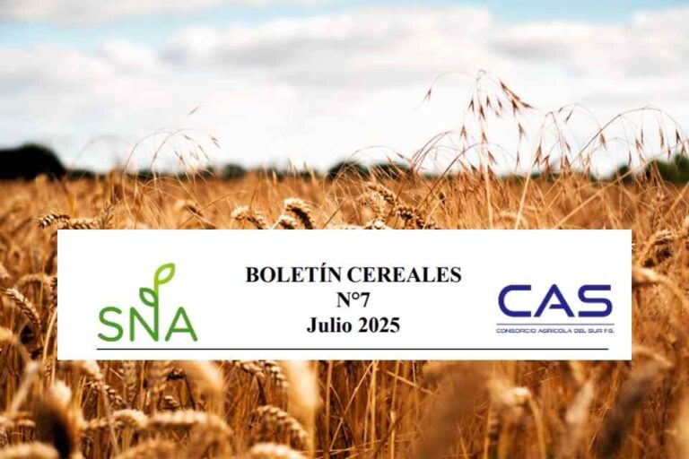 SNA | Boletín Cereales N° 7, Consorcio Agrícola del Sur CAS