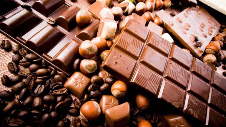 Chocolates a conciencia: los desafíos sostenibles de la industria del cacao