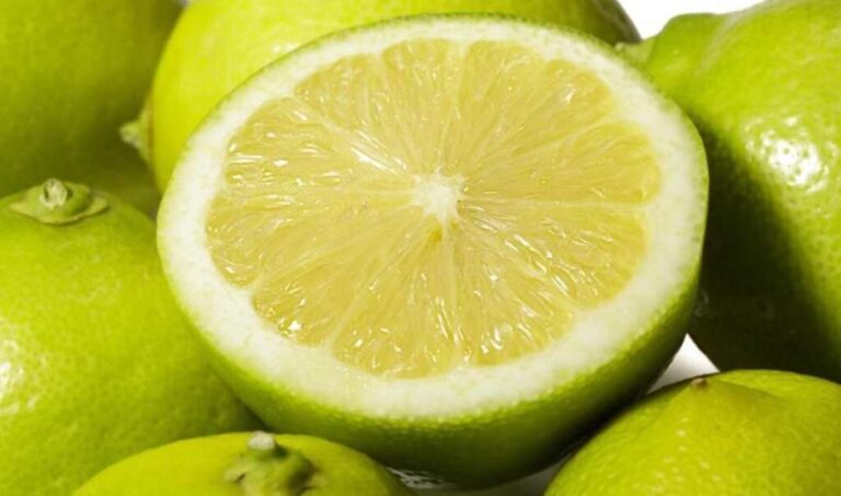 Benjamín Andes, la variedad chilena de limón que conquista mercados como Estados Unidos, Australia, España y Turqu