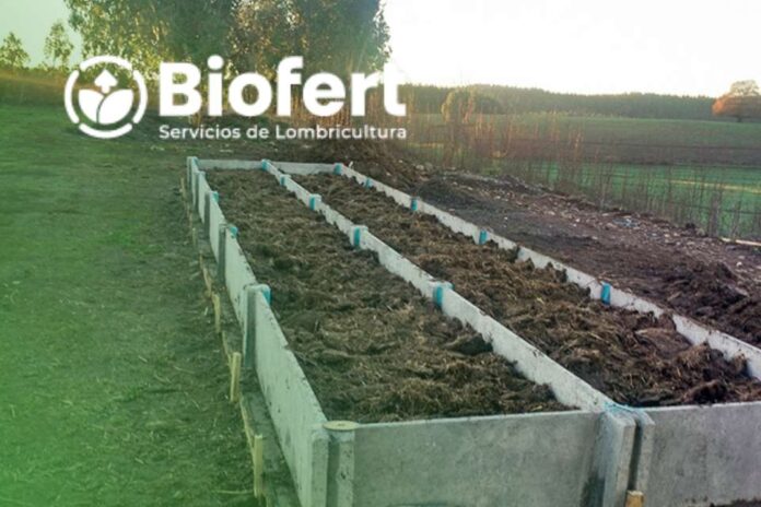 Biofert y su CEO, Roberto Verdejo: La Lombricultura Intensiva, aporta nutrientes y bioestimulantes benéficos en la agricultura y baja los costos en fertilizantes