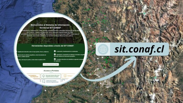 CONAF incorpora en su plataforma información sobre especies en categoría de conservación