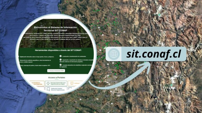 CONAF incorpora en su plataforma información sobre especies en categoría de conservación
