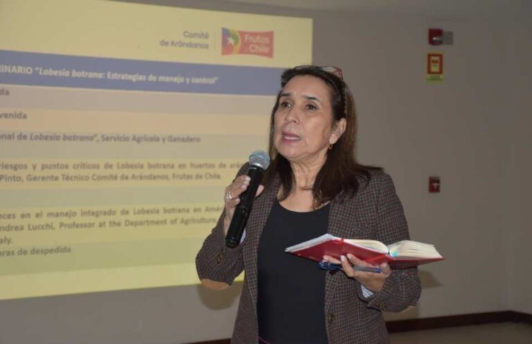 Comité de Arándanos y SAG refuerzan medidas para controlar Lobesia botrana ante aumento de capturas 