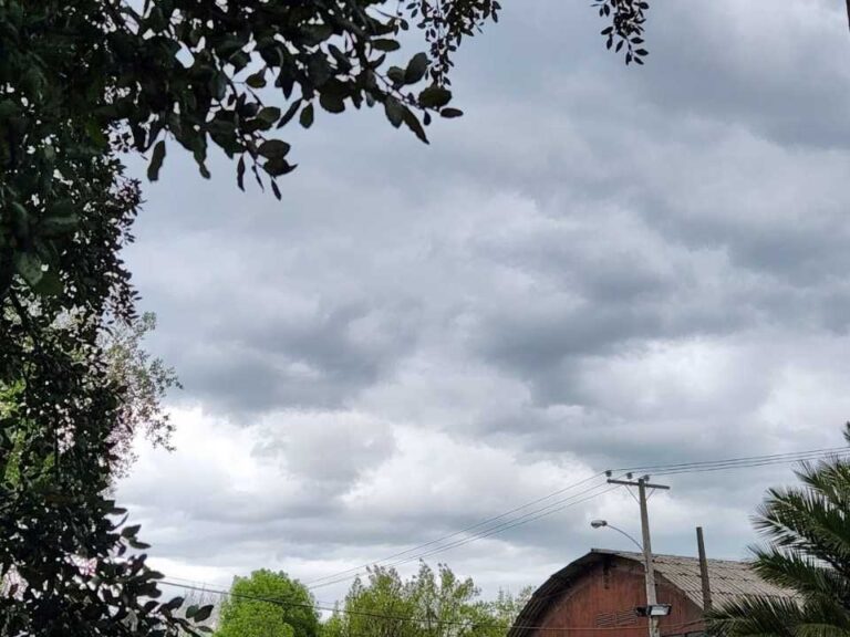 Invierno frío, escasez de lluvias y previsión de calor en verano conforman un año particular en el centro-sur 