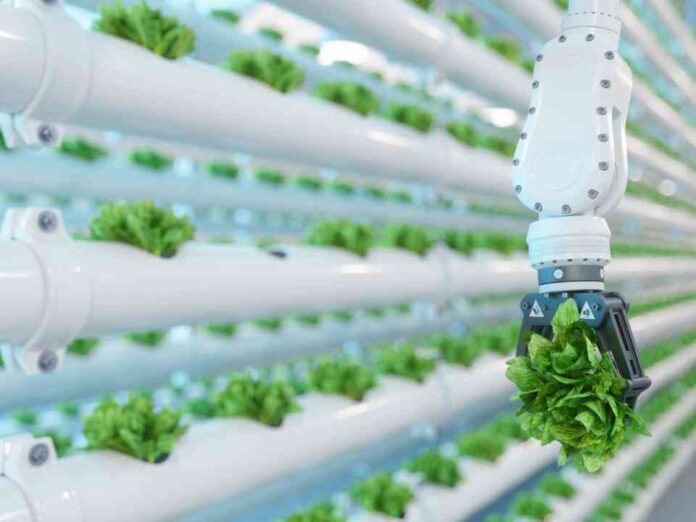 Premio Nacional de Innovación Alimentaria reconocerá los productos y servicios más destacados de la industria
