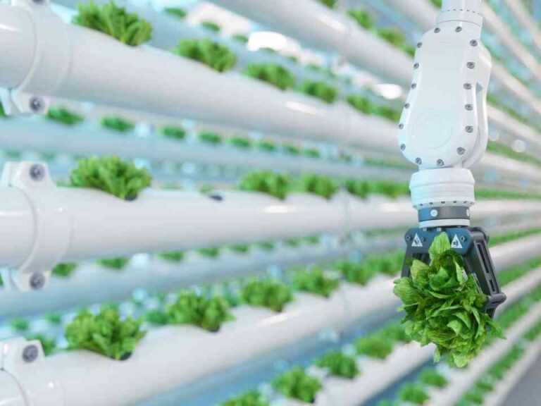 Premio Nacional de Innovación Alimentaria reconocerá los productos y servicios más destacados de la industria