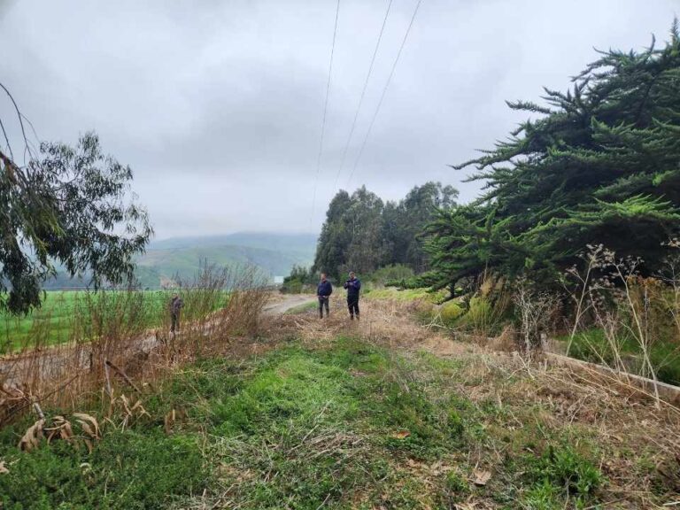 Regantes de Canela incrementan seguridad hídrica gracias a las obras de revestimiento en canal Millahue Uno