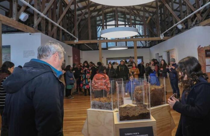 Turberas: un tesoro escondido en la Patagonia abrió sus puertas al público en el Museo Regional de Aysén
