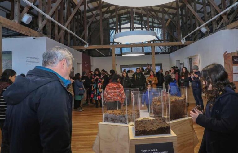 Turberas: un tesoro escondido en la Patagonia abrió sus puertas al público en el Museo Regional de Aysén