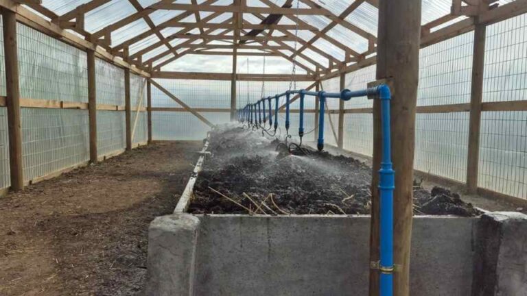 Biofertilizante líquido a través de la Lombricultura intensiva para la Producción de Arándanos