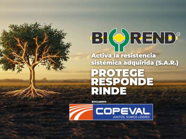 COPEVAL