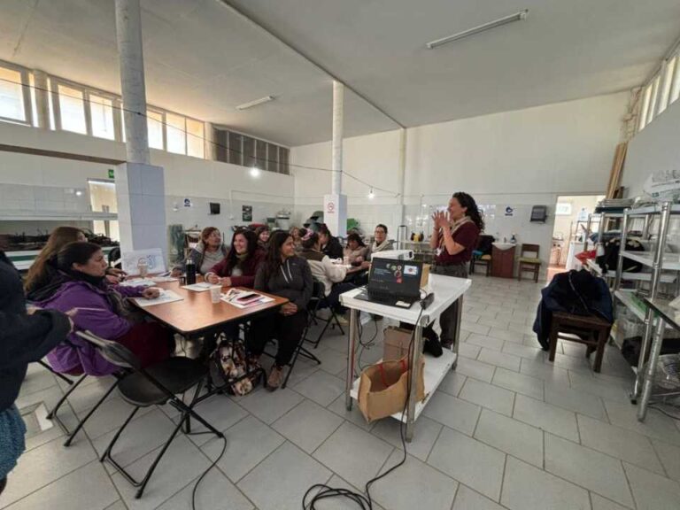 CREAS y Municipalidad de Navidad impulsan capacitación en procesos térmicos para pescadoras artesanales