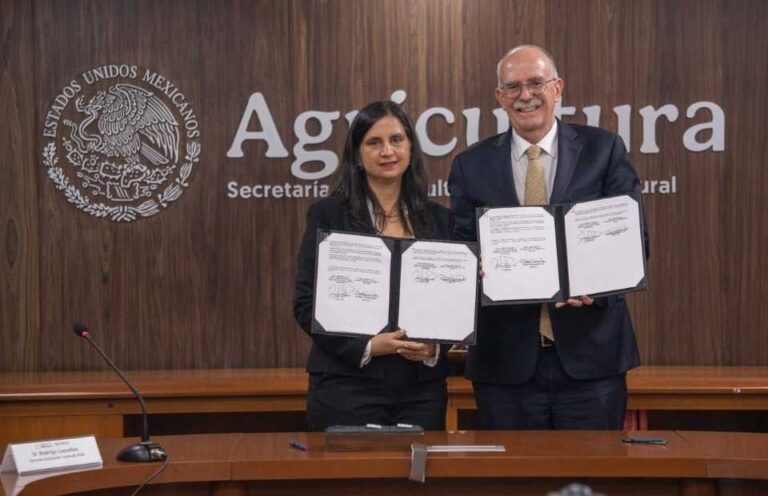 Chile y México acordaron la apertura de mercado para las naranjas chilenas
