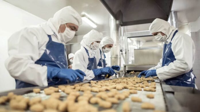 ¿Cómo mantiene Chile su liderazgo como potencia alimentaria mundial? Las últimas tendencias de la industria