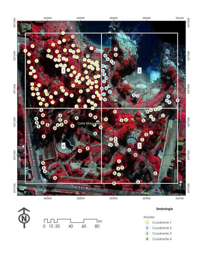 Con imágenes satelitales y vuelos de drones Ciren realizó un diagnóstico general de la salud vegetacional del Parque Luisa Sebiré de Cousiño de Quintero.