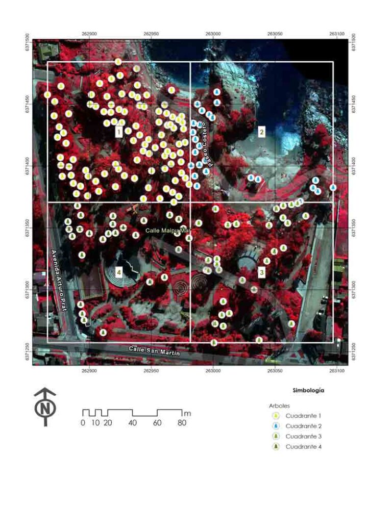 Con imágenes satelitales y vuelos de drones Ciren realizó un diagnóstico general de la salud vegetacional del Parque Luisa Sebiré de Cousiño de Quintero.