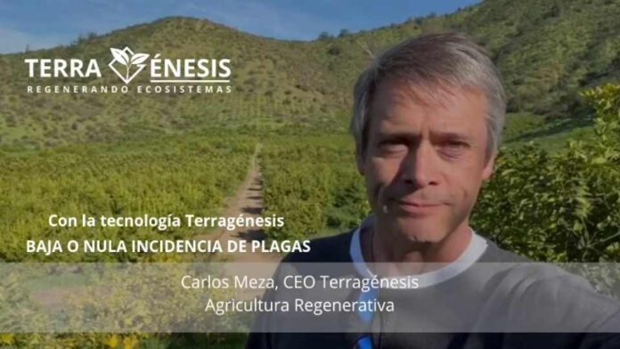 Portal Agro Chile reporta baja incidencia de plagas gracias a la Agricultura Regenerativa de Terragénesis