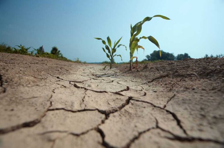 Déficit de lluvias marca un invierno frío y proyecta primavera seca y calurosa