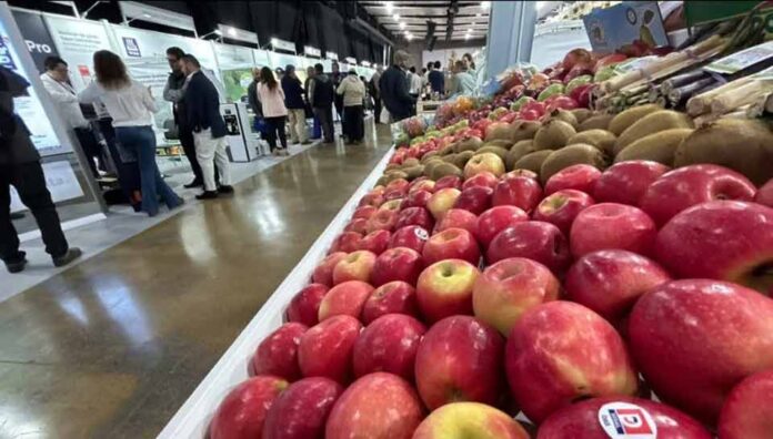 Fruittrade 2025 reunirá a empresas y profesionales del mundo frutícola el 22 y 23 de octubre en Espacio Riesco